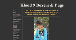 Desktop Screenshot of kloud9boxers.com